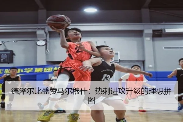 德泽尔比盛赞马尔穆什：热刺进攻升级的理想拼图
